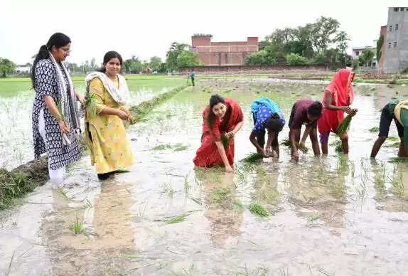 डॉ. प्रियंका मौर्या का गौरीगंज अस्पताल का निरीक्षण, स्वास्थ्य सेवाओं में सुधार की आवश्यकता