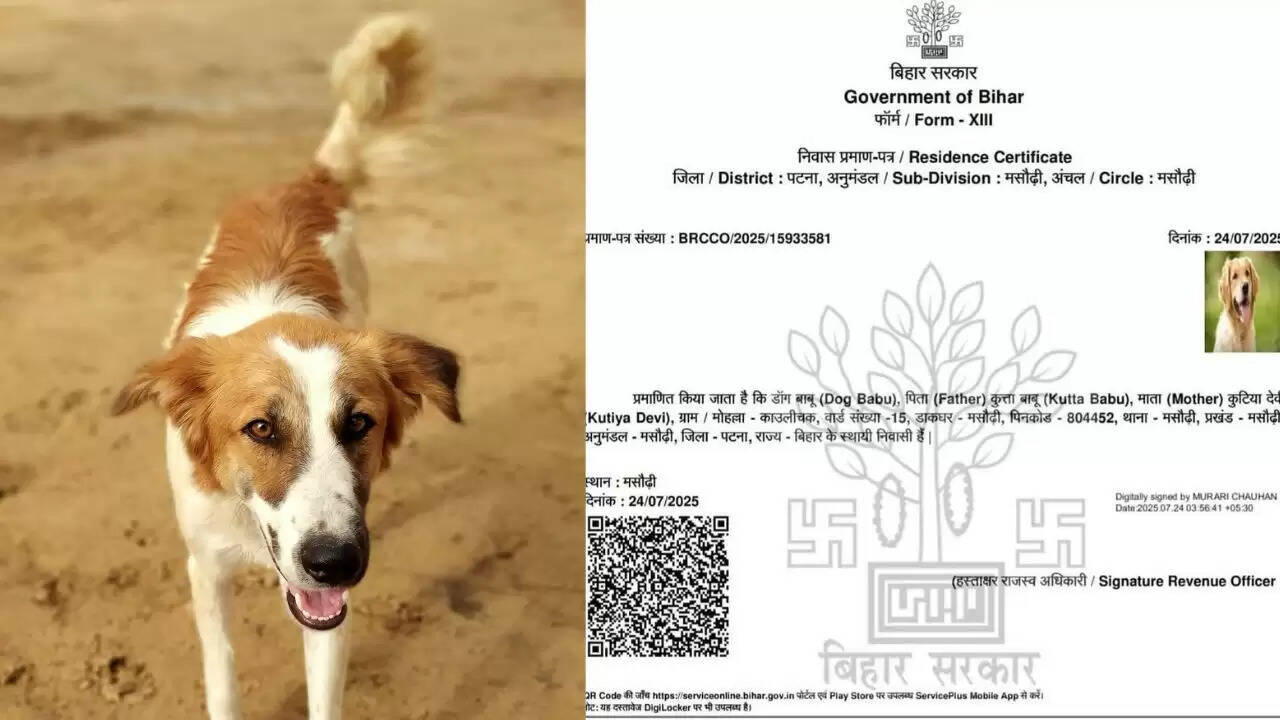 पटना में 'डॉग बाबू' के नाम पर फर्जी निवास प्रमाण पत्र का मामला
