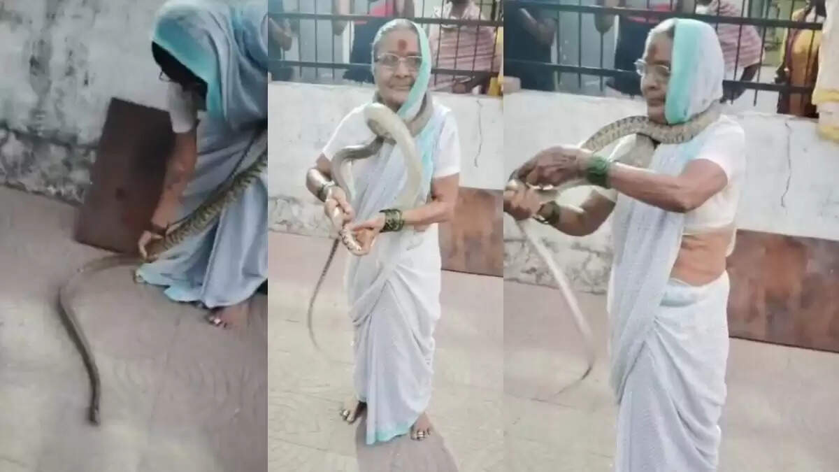 70 वर्षीय महिला ने सांप को गले लगाकर दिखाई हिम्मत, वीडियो हुआ वायरल