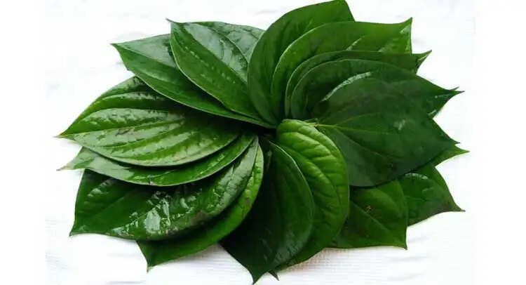 पान के पत्तों के अद्भुत फायदे: खूबसूरती और स्वास्थ्य के लिए