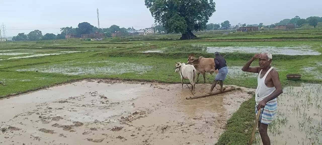 आर्द्रा नक्षत्र 22 को दोपहर 2.12 बजे से शुरू, बनेंगे कई संयोग