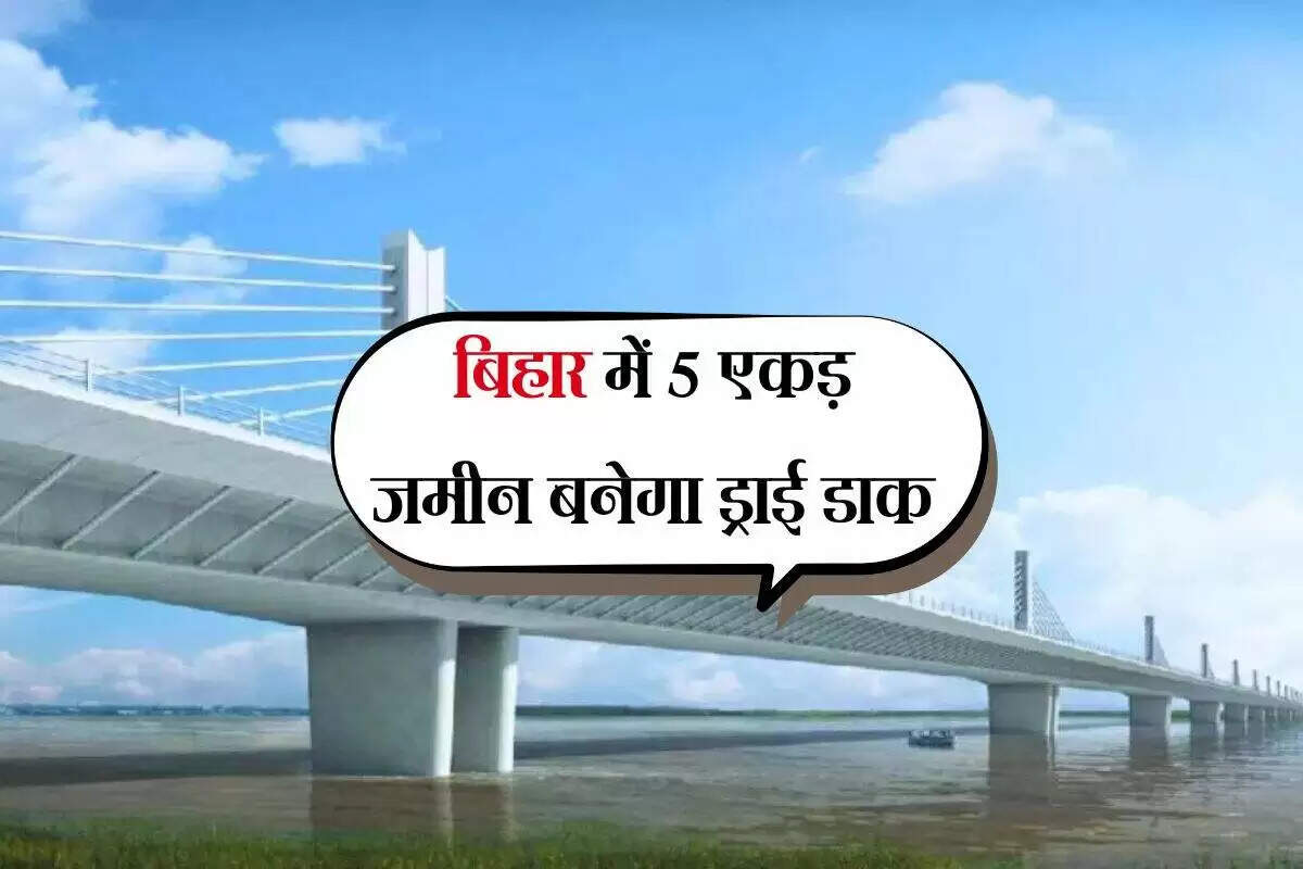 बिहार में पुलों के रखरखाव के लिए नई नीति का गठन