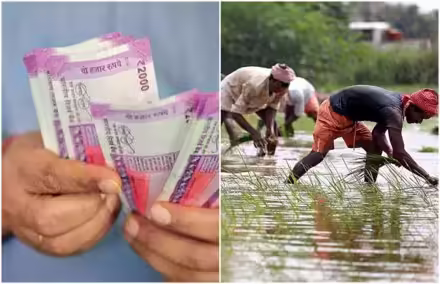 पीएम किसान सम्मान निधि योजना: क्या आयकर देने वाले किसान भी लाभ उठा सकते हैं?
