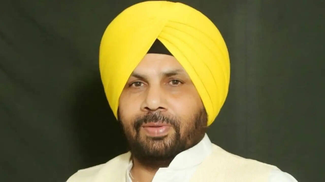 हरभजन सिंह ईटीओ का सख्त संदेश: अंबेडकर की प्रतिमा पर हमले की कड़ी निंदा