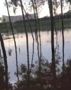 अवैध एलिवेटेड सड़क निर्माण से प्रभावित किसान और स्थानीय निवासी