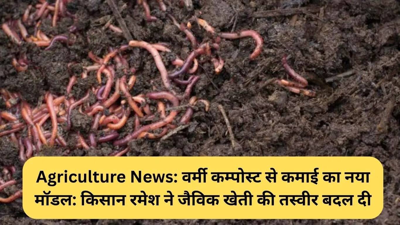 किसान रमेश ने जैविक खेती में वर्मी कम्पोस्ट से बदली तस्वीर