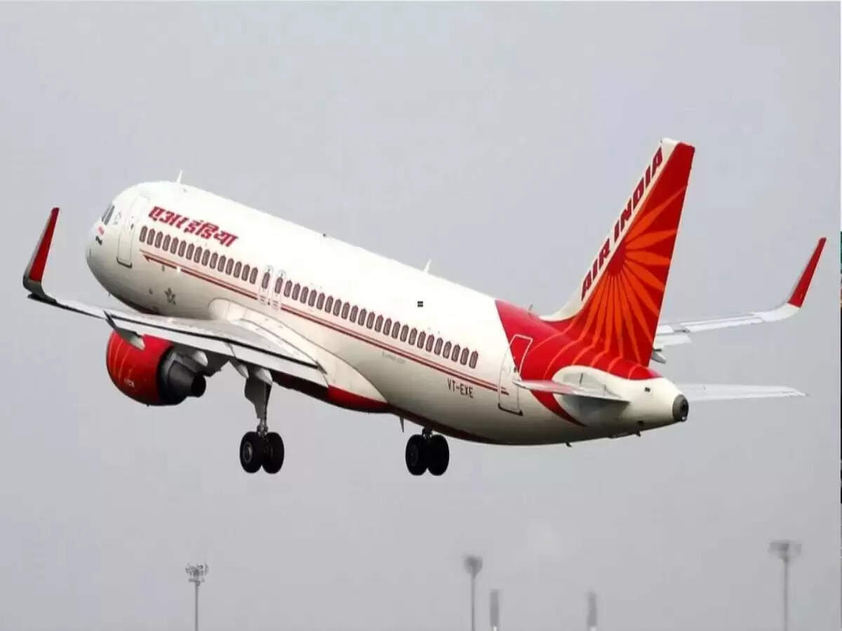 एयर इंडिया की फ्लाइट ने ज्वालामुखी विस्फोट के कारण दिल्ली लौटने का निर्णय लिया