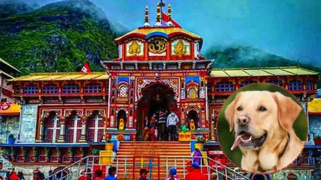 बद्रीनाथ धाम का रहस्य: क्यों नहीं भौंकते कुत्ते यहाँ?
