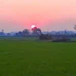 जींद में ठंड का कहर: फसलों को हो रहा नुकसान, प्रशासन ने जारी की एडवाइजरी