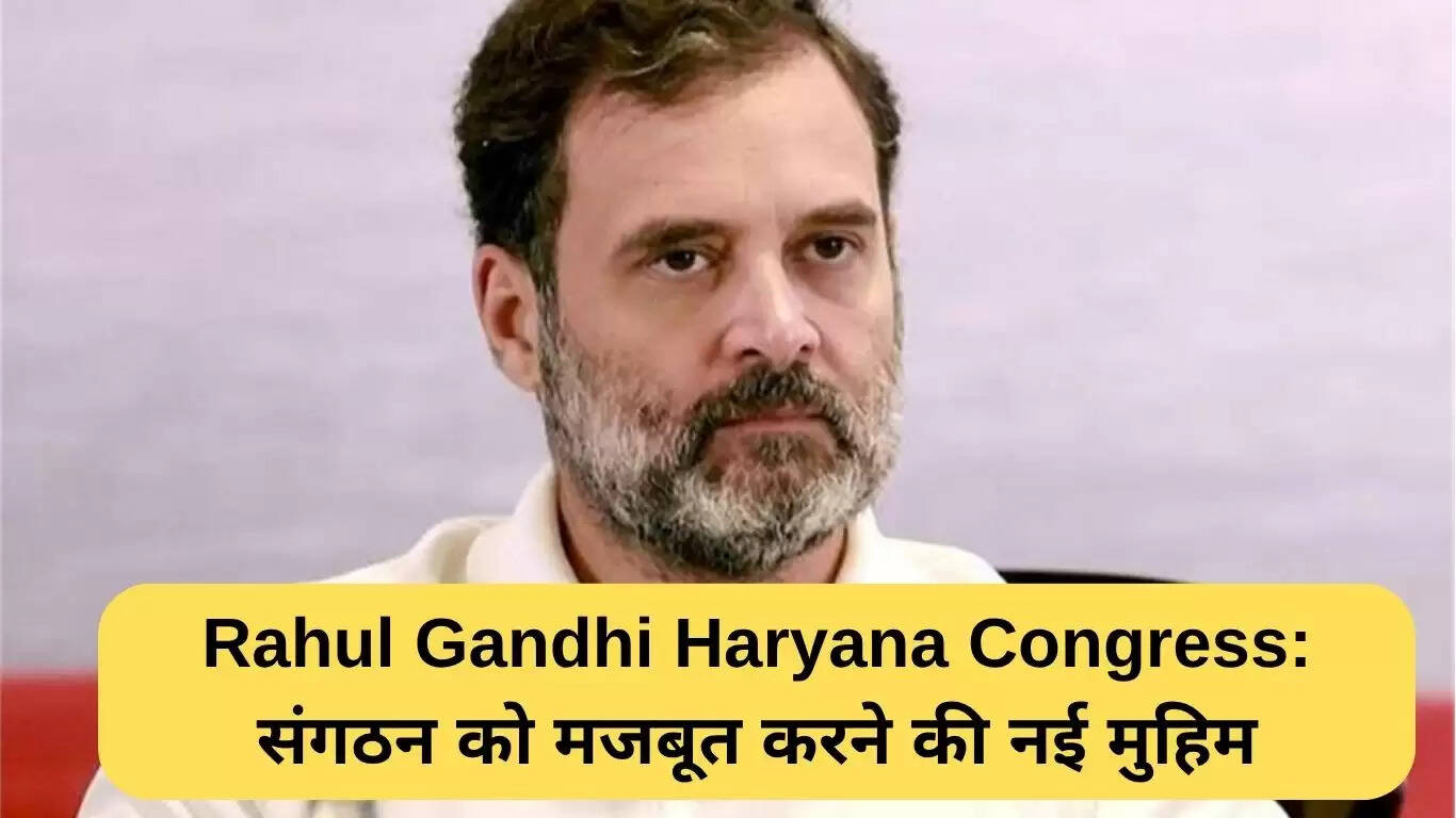 राहुल गांधी की नई रणनीति से हरियाणा कांग्रेस को मजबूती मिलेगी