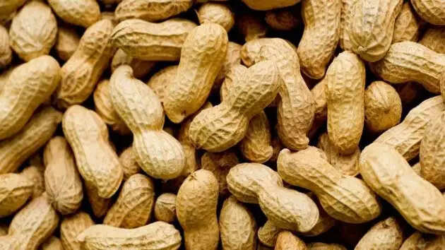 मूंगफली के स्वास्थ्य लाभ: जानें इसके 10 फायदे