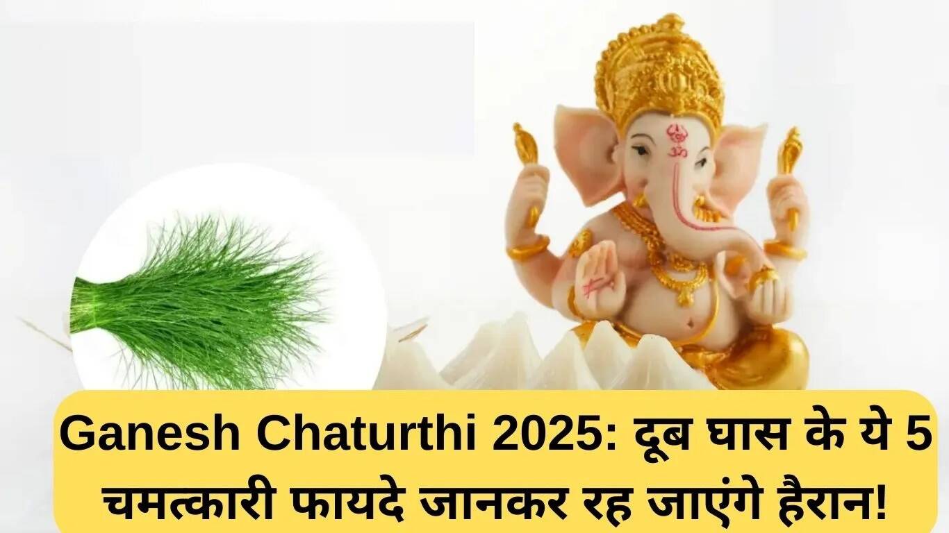 गणेश चतुर्थी 2025: जानें दूब घास के 5 अद्भुत स्वास्थ्य लाभ
