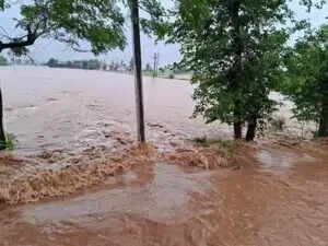 हरियाणा में बारिश का अलर्ट: मौसम विभाग ने जारी किया येलो अलर्ट