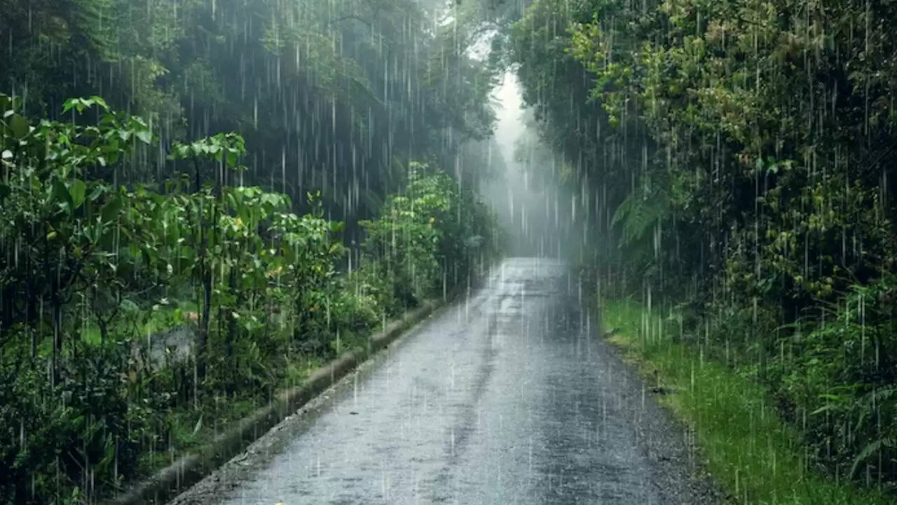 मानसून में पहनने के लिए बेहतरीन कपड़े: जानें सही विकल्प