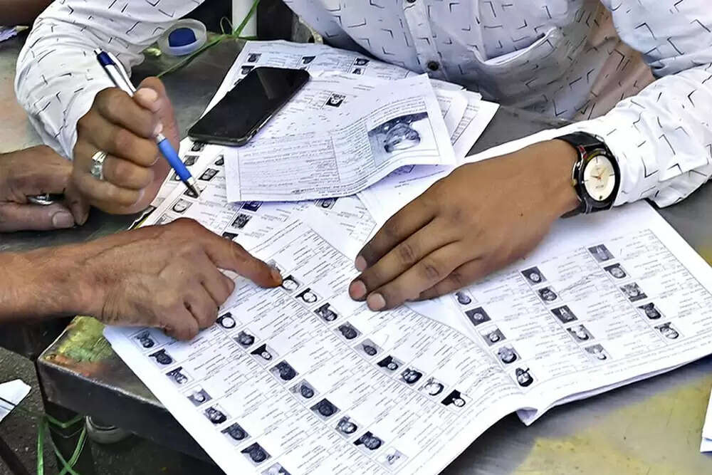 बिहार में मतदाता पुनरीक्षण में ग्रामीणों को चुनौतियों का सामना