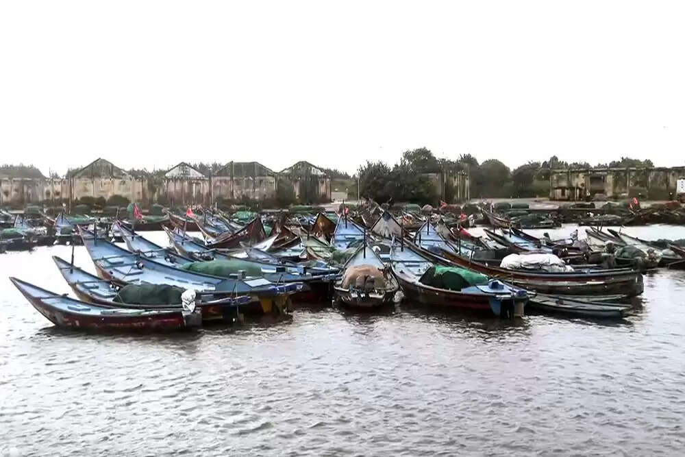 चक्रवात मोंथा ने आंध्र प्रदेश में मचाई तबाही, 50,000 लोग सुरक्षित स्थानों पर भेजे गए