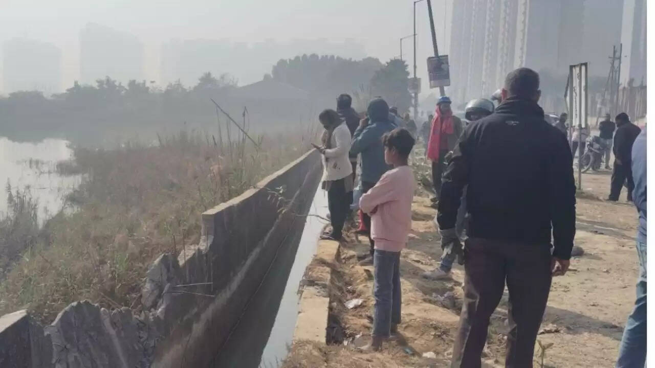 ग्रेटर नोएडा में सड़क हादसे में युवा सॉफ्टवेयर इंजीनियर की मौत: क्या थी वजह?