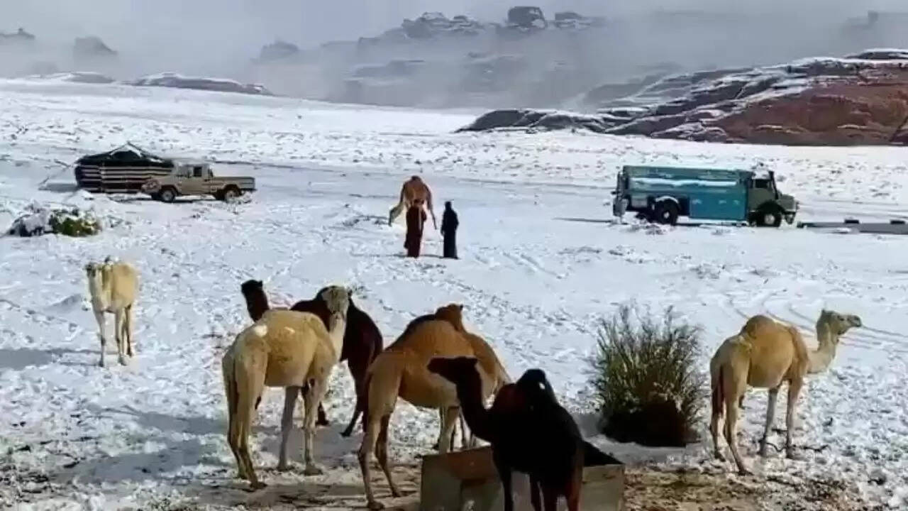 सऊदी अरब में बर्फबारी: जलवायु परिवर्तन का नया संकेत