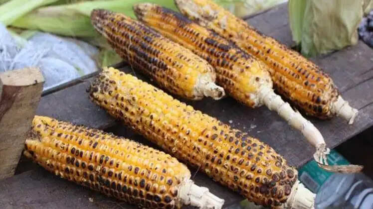 भुट्टे के बाद किन चीजों का सेवन न करें: जानें स्वास्थ्य पर प्रभाव