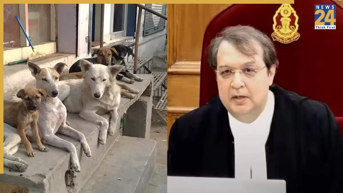 जस्टिस जेबी पारदीवाला के फैसलों पर CJI बी.आर. गवई का हस्तक्षेप