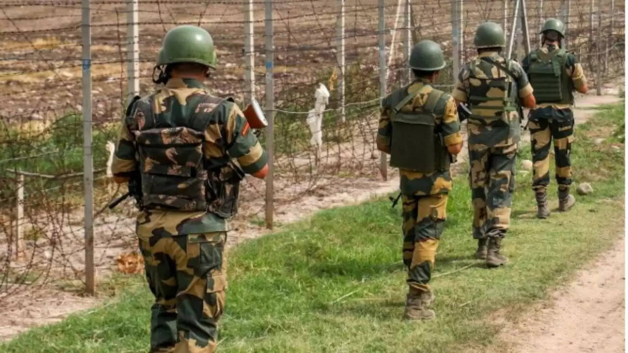 बीएसएफ ने जम्मू में पाकिस्तानी नागरिक को सीमा पार करते समय पकड़ा