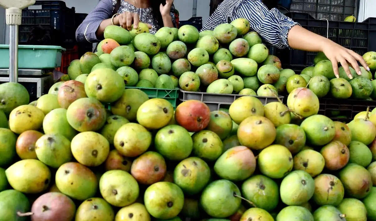 जापान ने भारतीय आमों के आयात पर लगाया प्रतिबंध, कृषि निर्यात को झटका