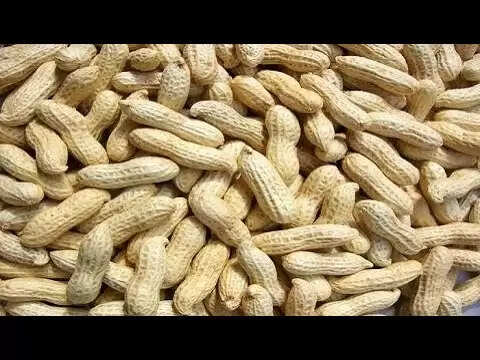 मूंगफली के अद्भुत स्वास्थ्य लाभ: जानें इसके फायदे