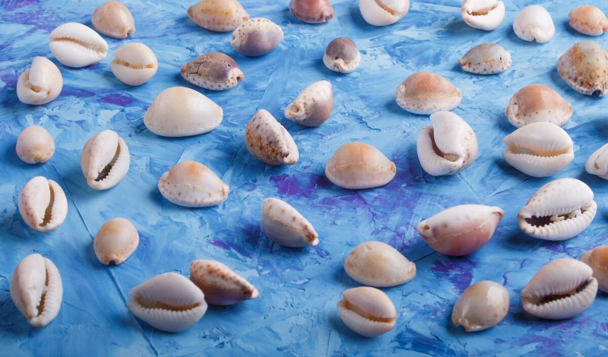 नए साल 2026 के लिए विशेष ज्योतिष उपाय