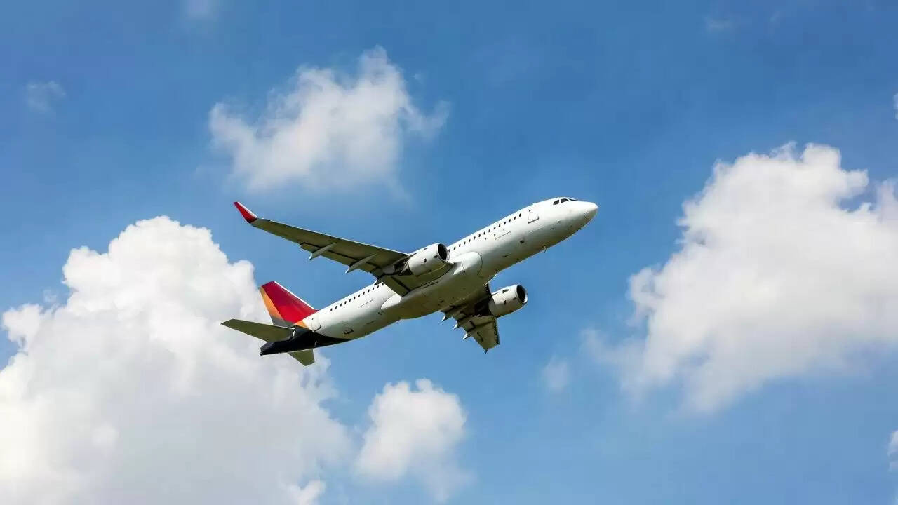 अमेरिका में भारतीय प्रवासियों के लिए यात्रा में बढ़ी चुनौतियाँ