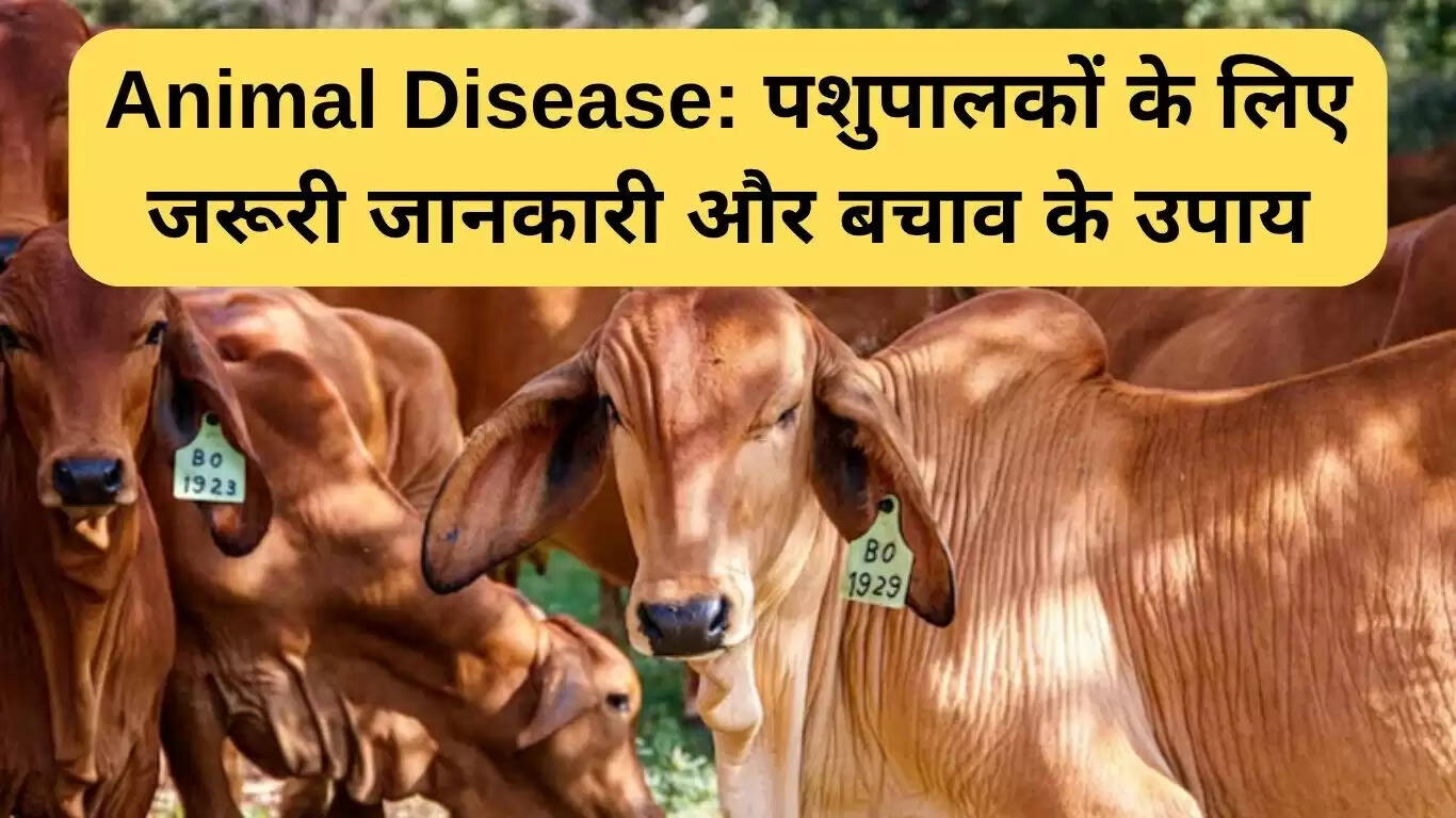 पशु रोग हाइपोमैग्नीसिमिया: लक्षण, उपचार और बचाव के उपाय