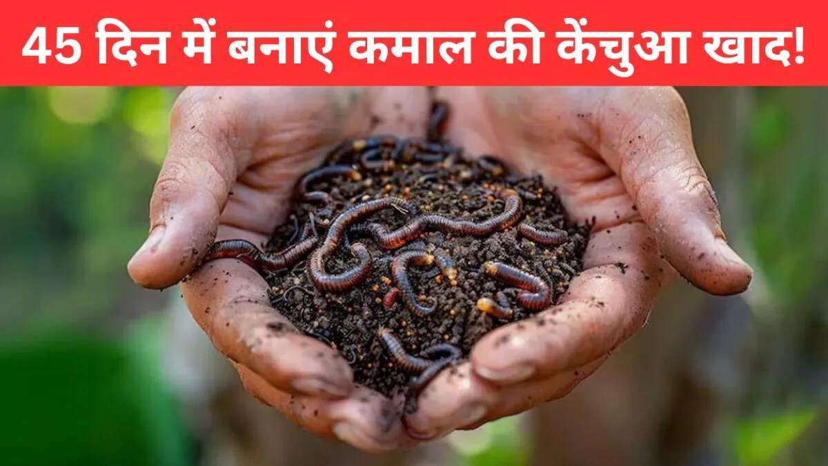 केंचुआ खाद बनाने की सरल विधि: जानें कैसे करें वर्मी कंपोस्ट तैयार