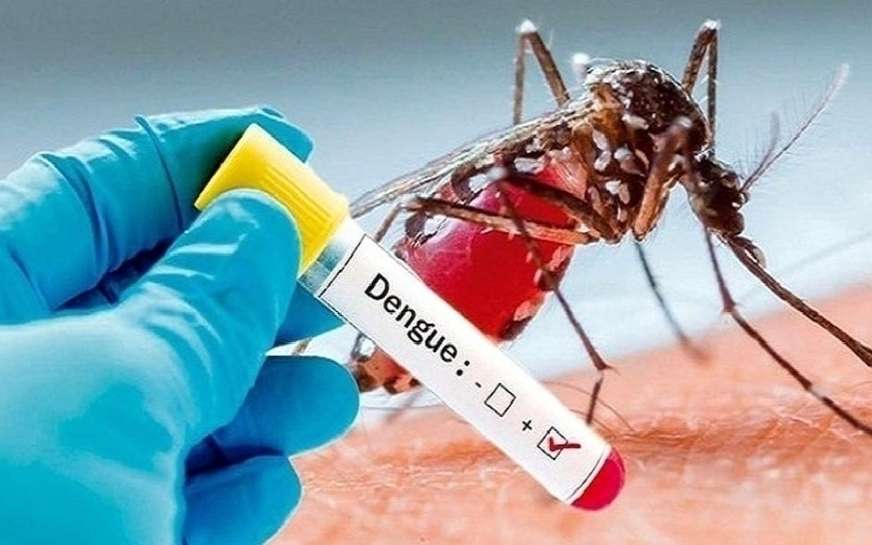 मुरादाबाद : मंगलवार को 2 नए मरीज डेंगू से संक्रमित मिले
