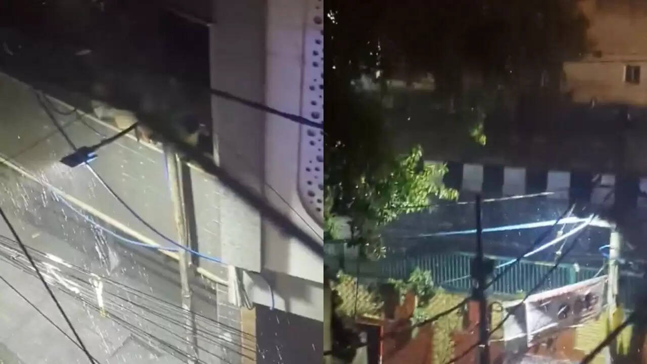 दिल्ली-एनसीआर में बारिश का अलर्ट: क्या करें और क्या न करें?