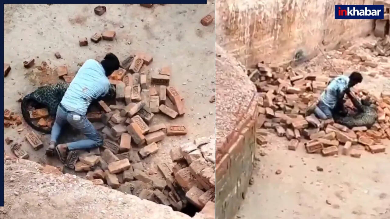 उत्तर प्रदेश में तेंदुए से भिड़े मजदूर का वीडियो हुआ वायरल
