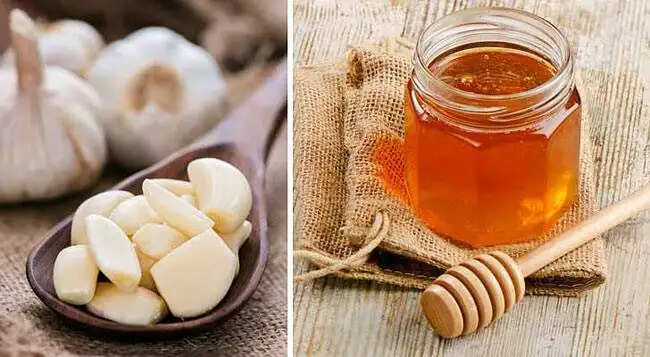 लहसुन और शहद का संयोजन: स्वास्थ्य के लिए अद्भुत लाभ