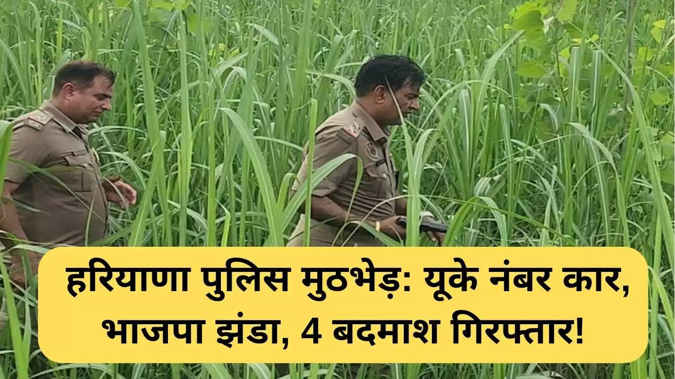 हरियाणा पुलिस की मुठभेड़: चार अपराधियों की गिरफ्तारी, ड्रोन से खोज जारी