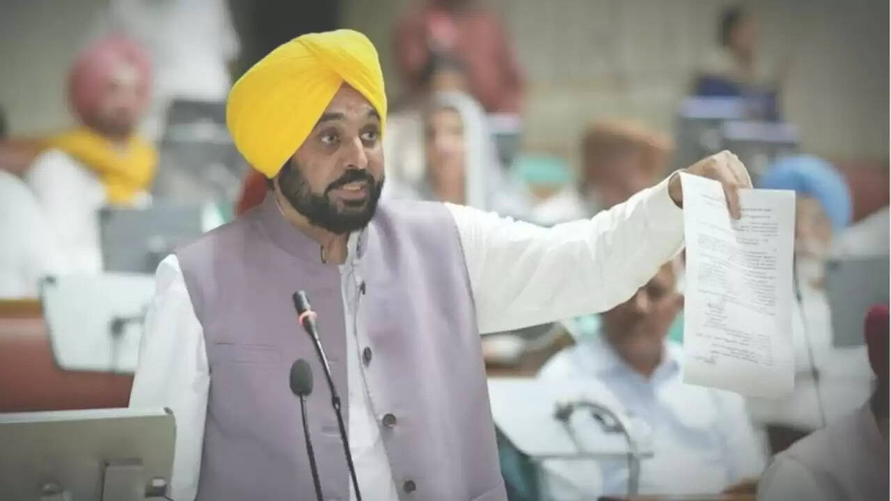 पंजाब सरकार का बड़ा ऐलान: बाढ़ पीड़ितों को 15 अक्टूबर से मिलेगा मुआवज़ा