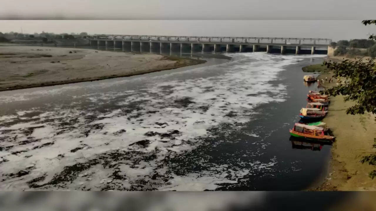 यमुना नदी की सफाई के लिए नई पहल: पीने योग्य पानी का लक्ष्य