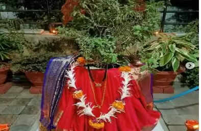 कार्तिक मास में तुलसी पूजा के महत्व और नियम