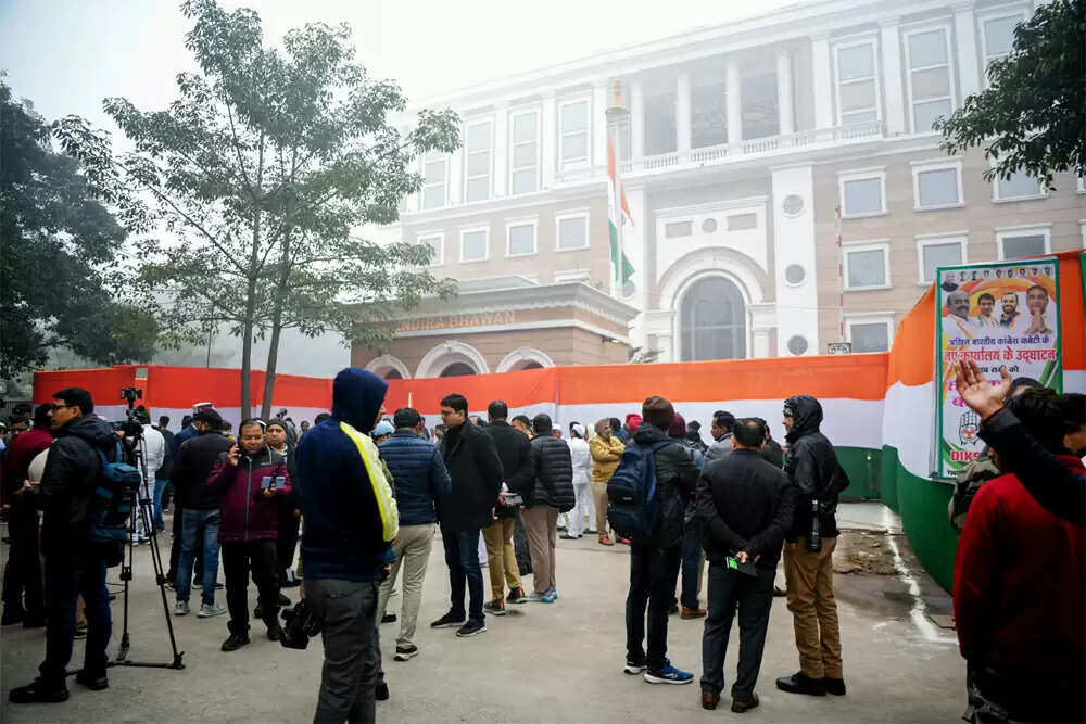 कांग्रेस की संगठनात्मक चुनौतियाँ: प्रियंका गांधी की भूमिका पर सवाल