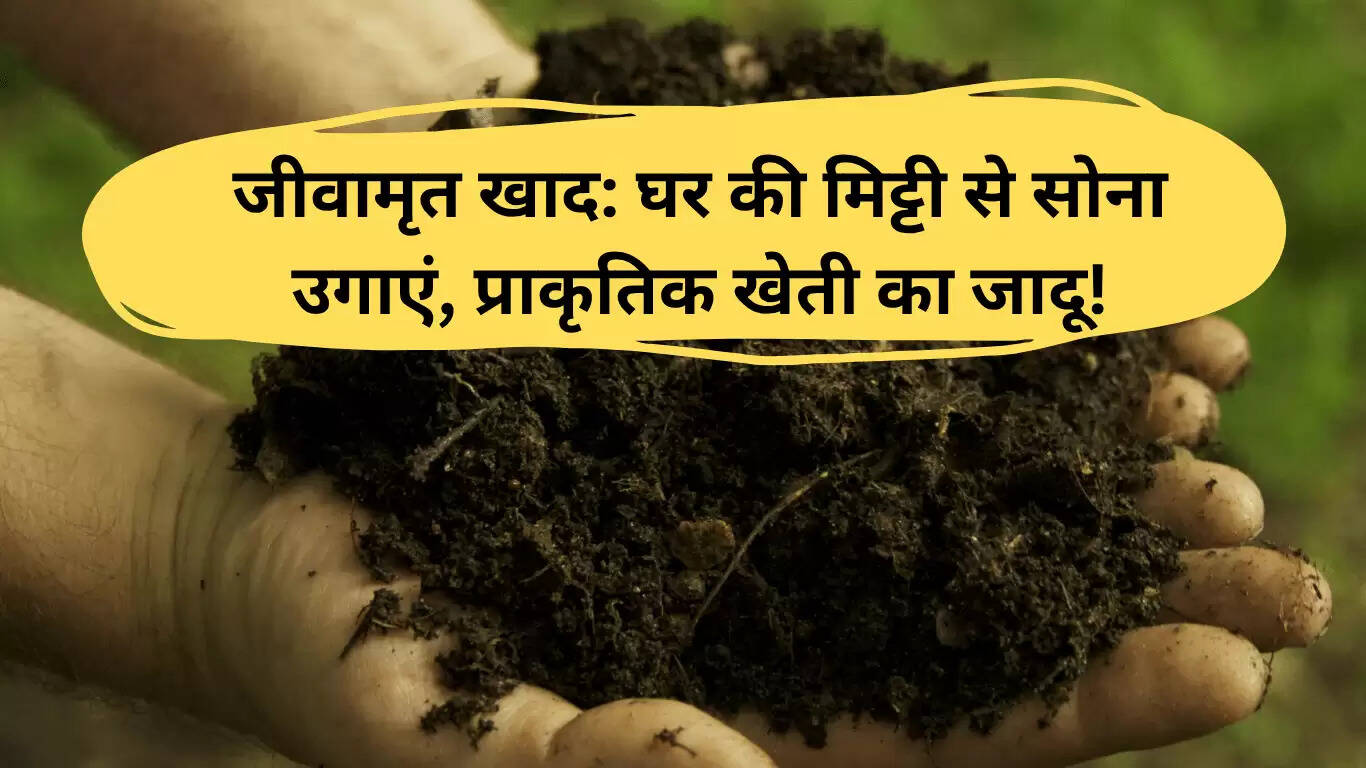जीवामृत खाद: प्राकृतिक खेती का जादू