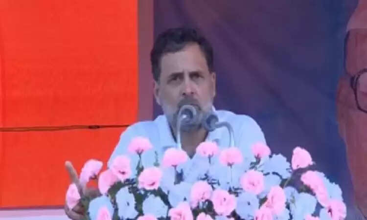 राहुल गांधी ने बिहार चुनाव में एनडीए पर साधा निशाना