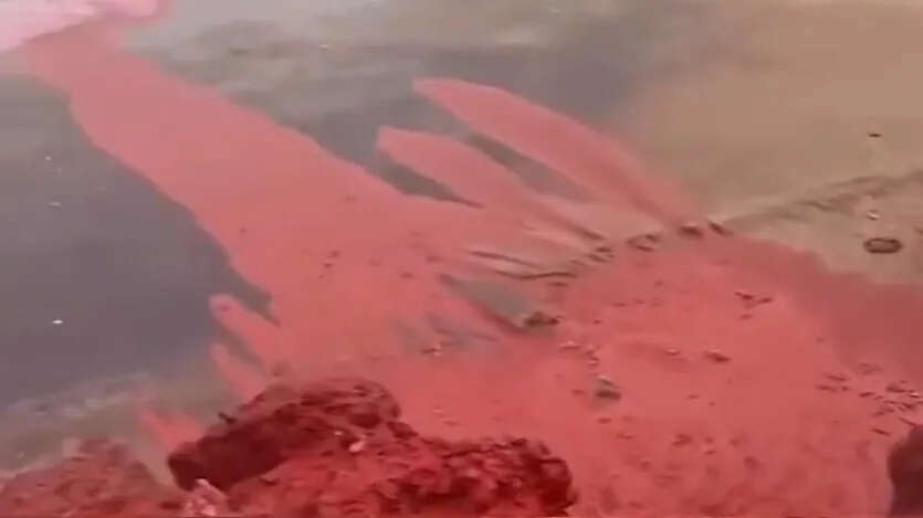 ईरान के होर्मुज द्वीप पर बारिश ने रंग बदला, समुद्र हुआ लाल