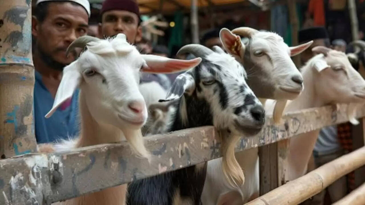 पाकिस्तान में अहमदिया समुदाय पर ईद-उल-अजहा के दौरान बढ़ता विवाद