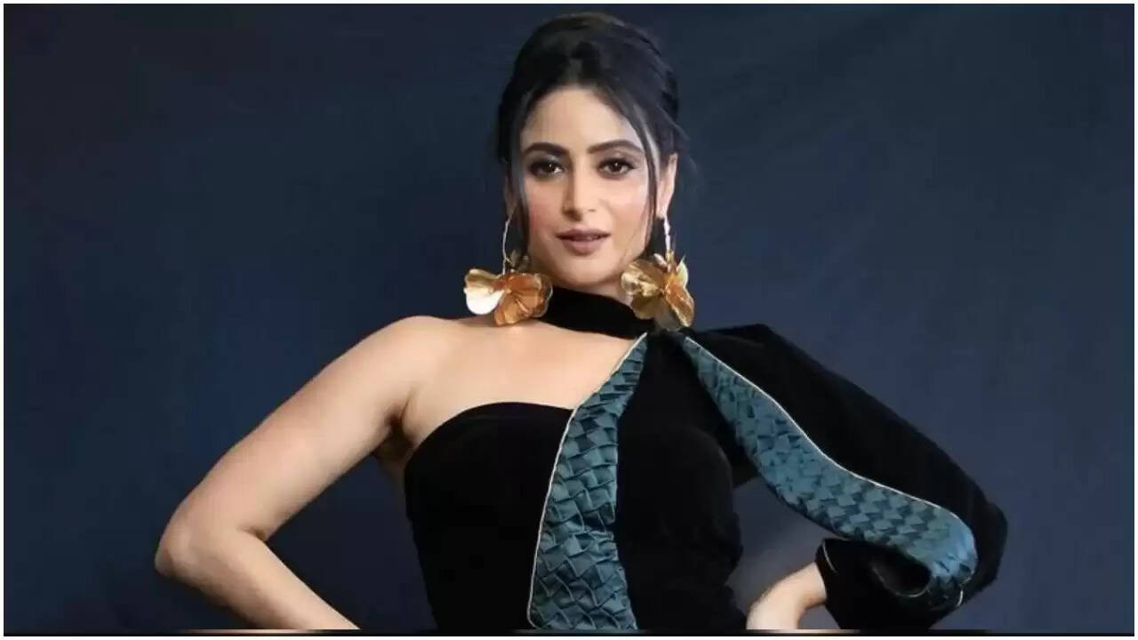 ऐश्वर्या शर्मा को मिली नई सीरीज, शादी में चल रही हैं अफवाहें