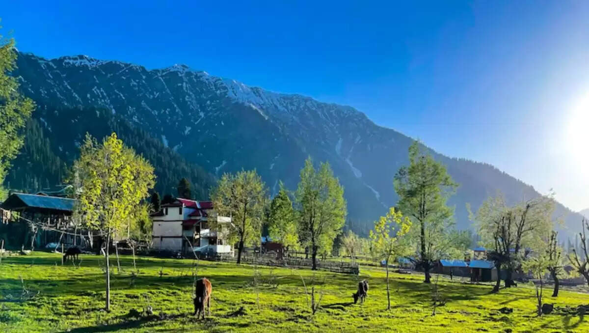 भारत में विदेशी अनुभव देने वाले अद्भुत पर्यटन स्थल