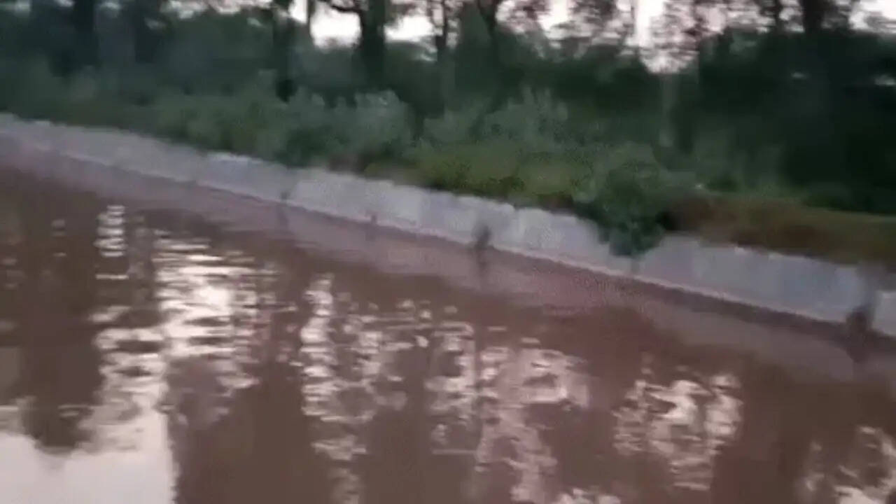 बठिंडा में गणपति विसर्जन के दौरान बच्चों का पानी में बहना, बचाव कार्य जारी