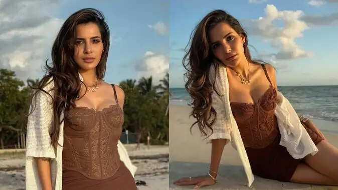 आशु रेड्डी: विवादों में घिरी तेलुगु एक्ट्रेस की कहानी