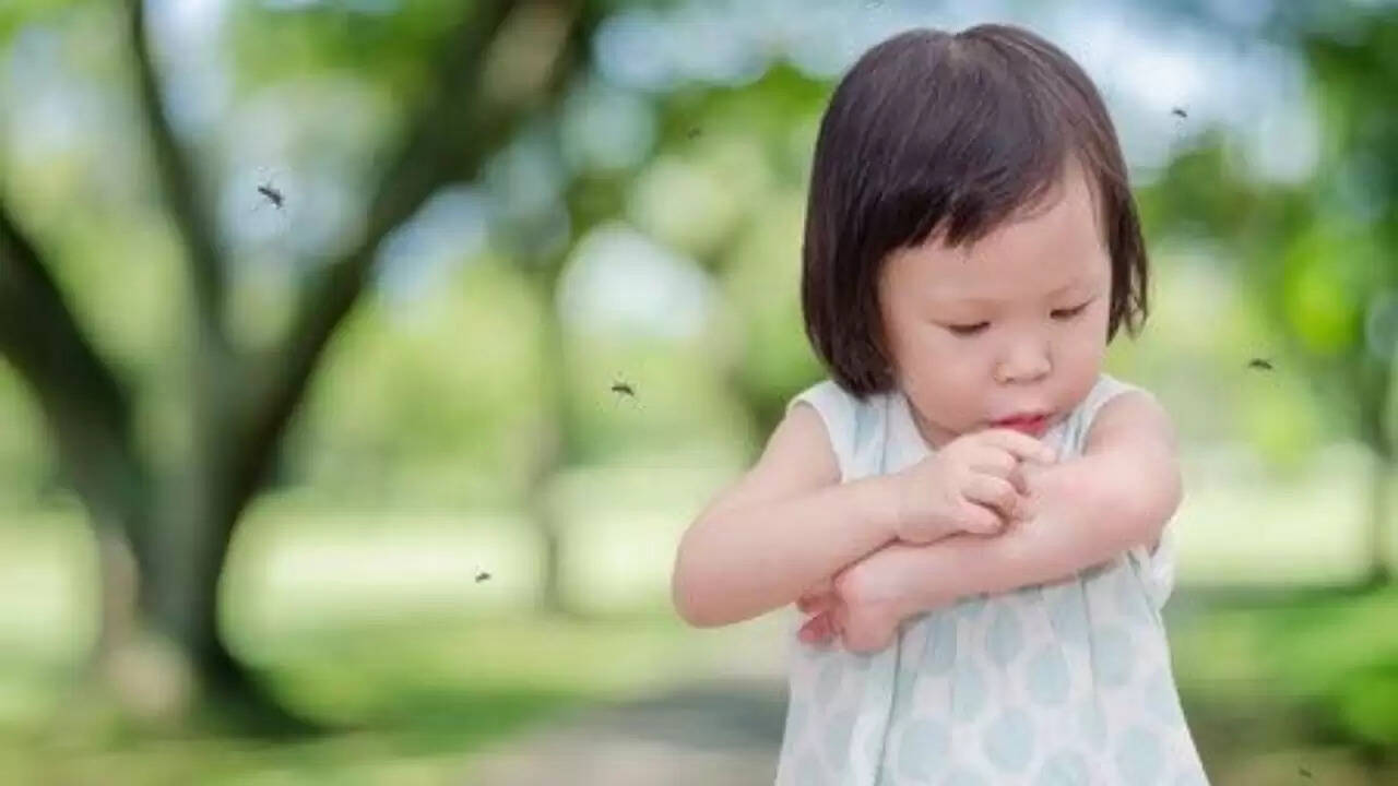 प्राकृतिक तरीके से मच्छरों से बचने के उपाय