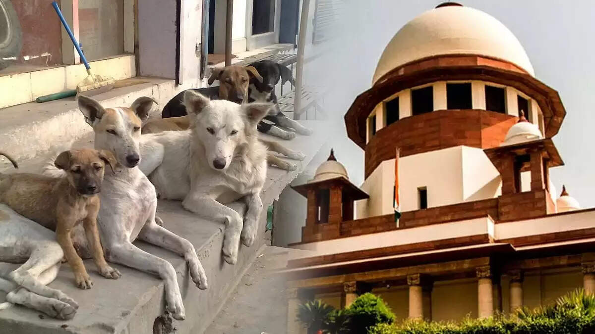 सुप्रीम कोर्ट का आवारा कुत्तों के मामले में महत्वपूर्ण निर्णय